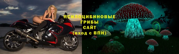 хмурый Верхний Тагил