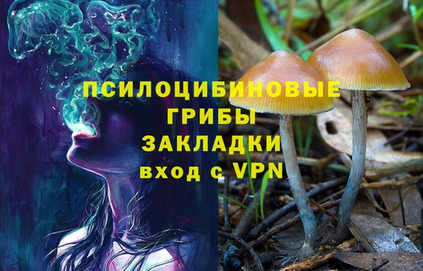 хмурый Верхний Тагил