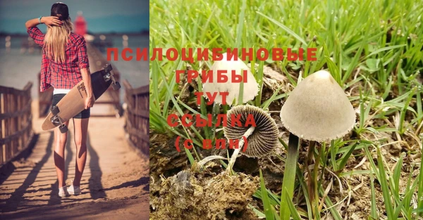 ALPHA PVP Верхнеуральск