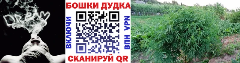 блэк спрут рабочий сайт  Северодвинск  Бошки Шишки индика  цена  